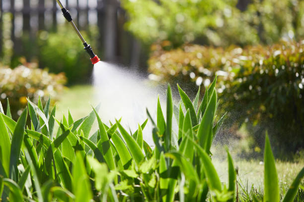 24/7 Emergency Wasp Removal experts in Galesburg, IL