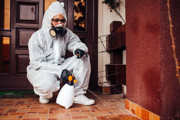 Reliable Wasp Removal contractor in Galesburg, IL by Show Me Pest Control