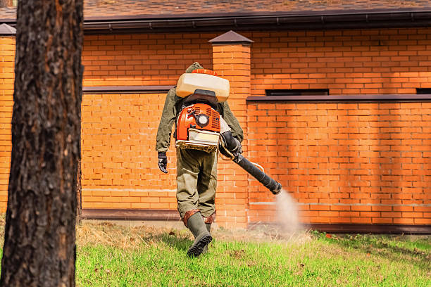 Top rated local Wasp Removal specialists in Galesburg, IL
